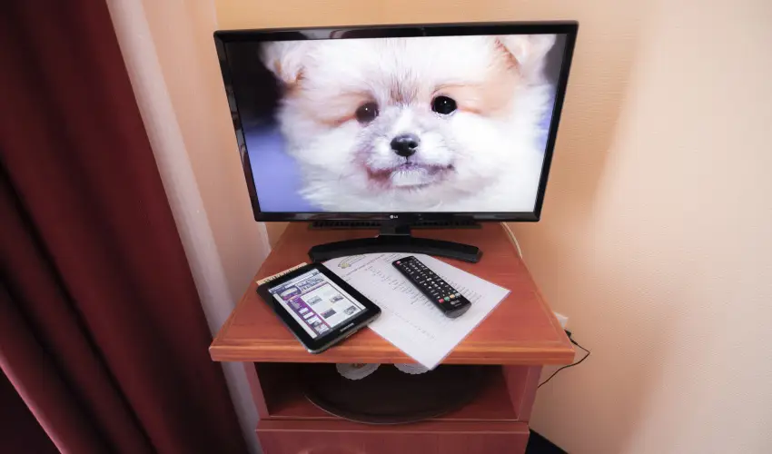 Boglrka Panzi-tterem  Mezkvesd