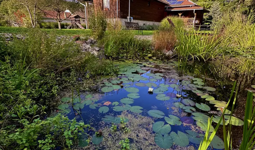 Halhza Vendghz Sirok