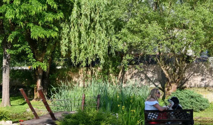 Halhza Vendghz Sirok