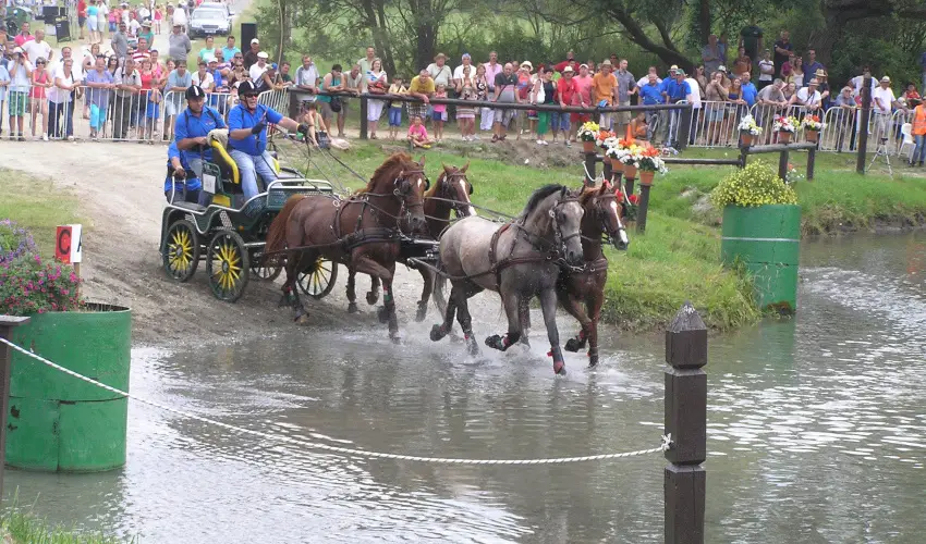 Aliz Villa Szilvsvrad