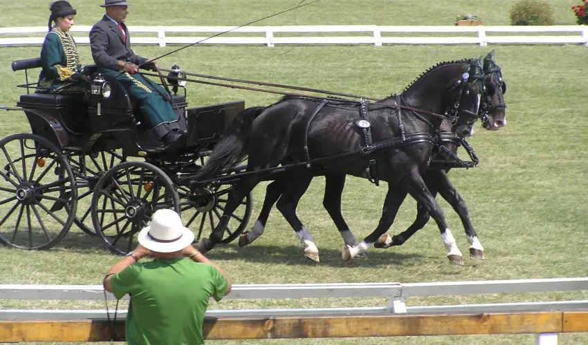 Aliz Villa Szilvsvrad