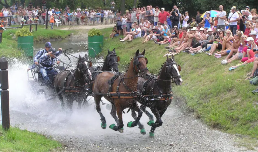 Aliz Villa Szilvsvrad