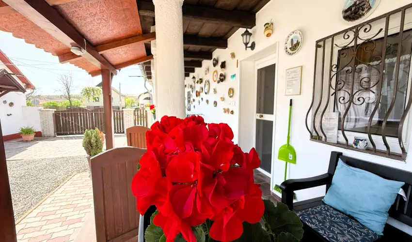 Harmony Vendghz Egerszalk