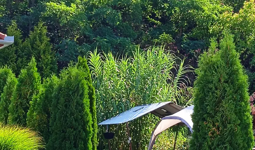 Harmony Vendghz Egerszalk