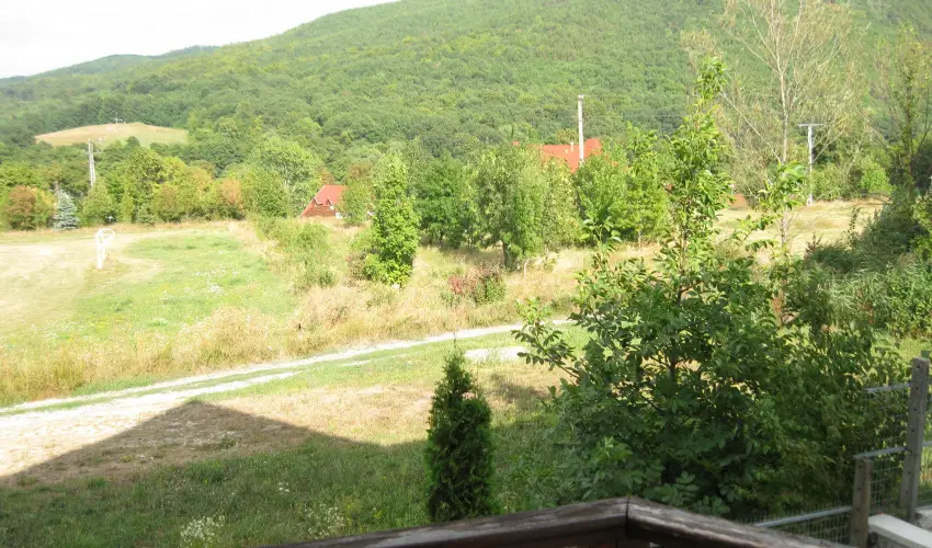 Hegyi Panzi Szilvsvrad