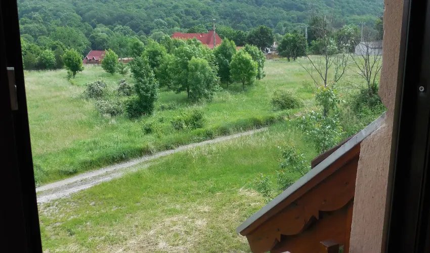 Hegyi Panzi Szilvsvrad