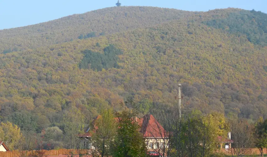 Hegyi Panzi Szilvsvrad