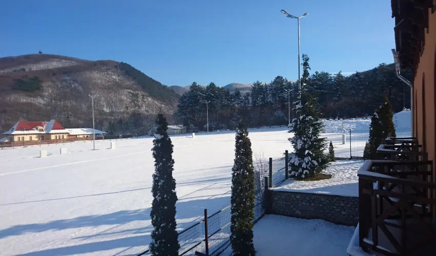 Hegyi Panzi Szilvsvrad