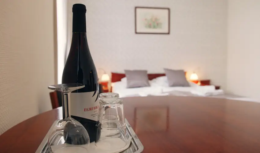 Aqua Villa Eger Eger