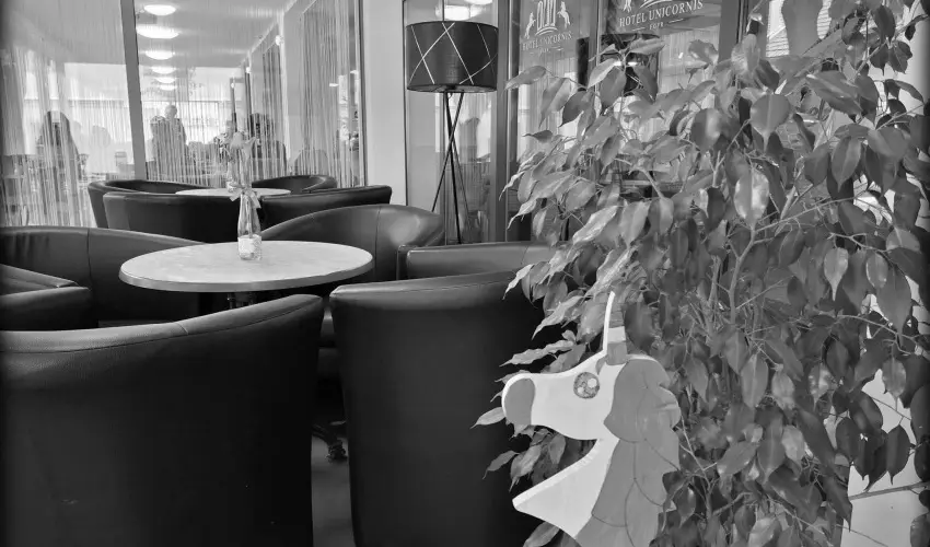 Hotel Unicornis Eger