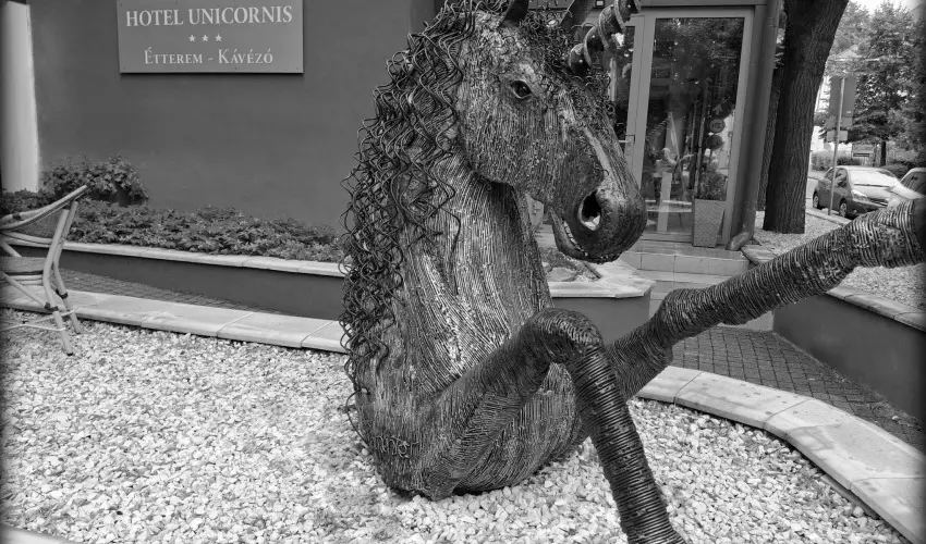 Hotel Unicornis Eger