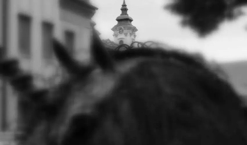 Hotel Unicornis Eger