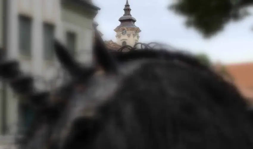 Hotel Unicornis Eger