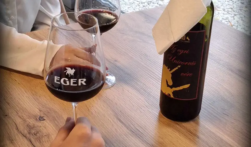 Hotel Unicornis Eger