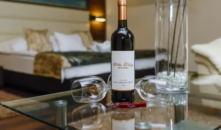 Hotel Villa Vlgy Eger