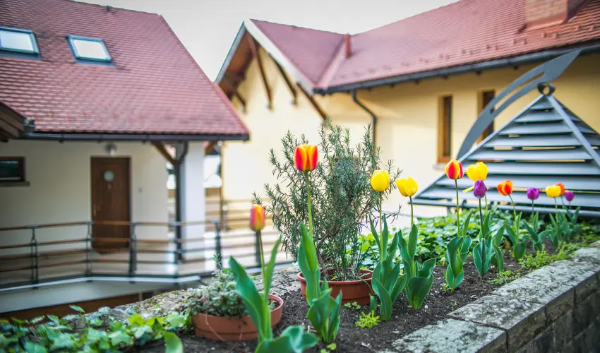 Imola Udvarh�z Eger