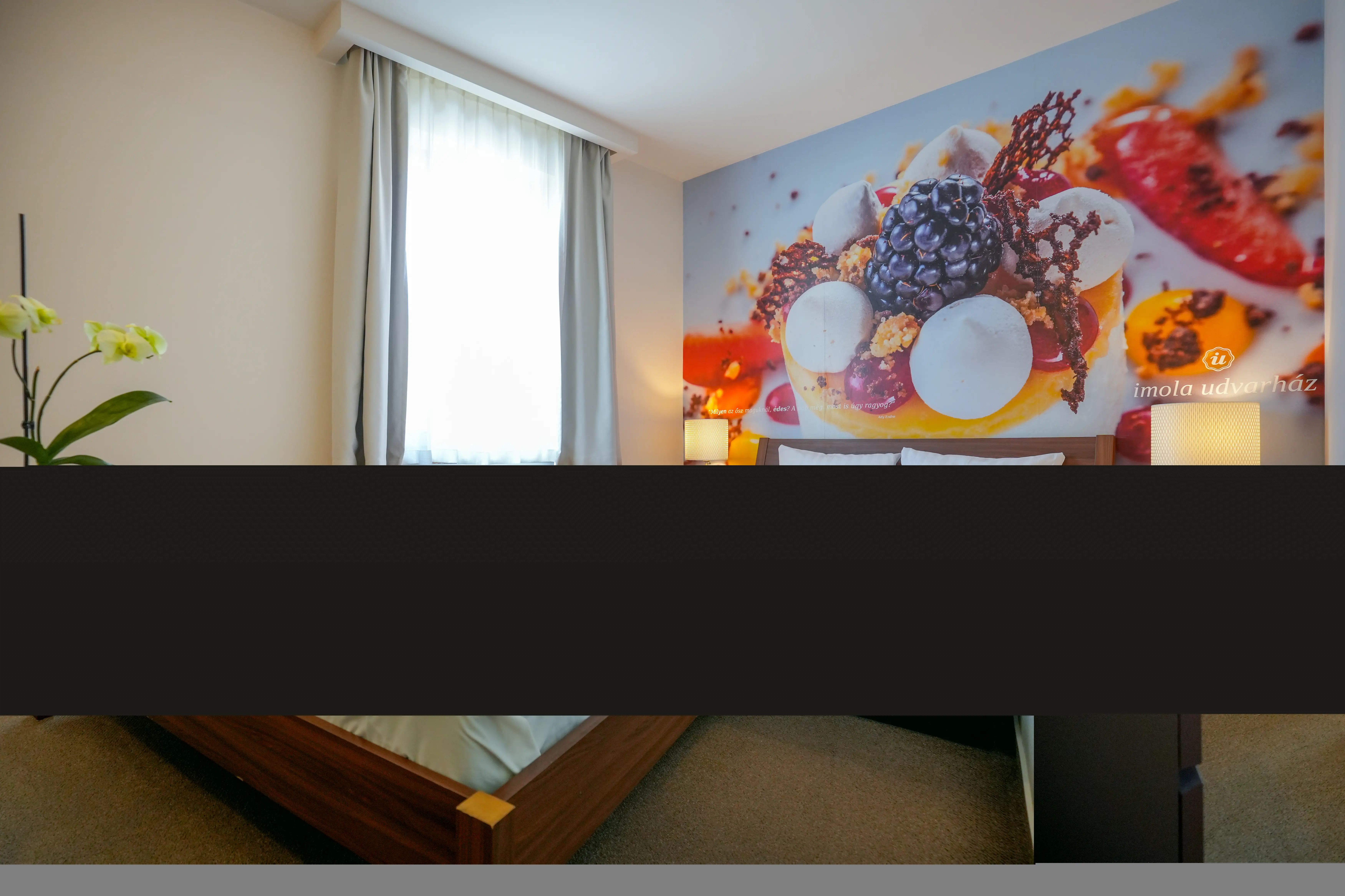 Imola Udvarh�z Eger