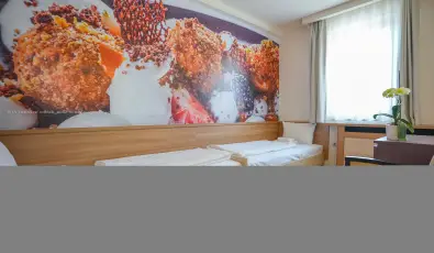 Imola Udvarh�z Eger