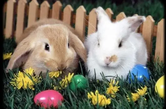 Lipicai Hotel, Szilv�sv�rad, Eger - 17 km