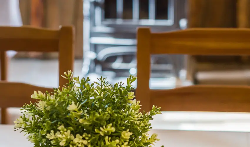 Lipicai Hotel Szilvsvrad