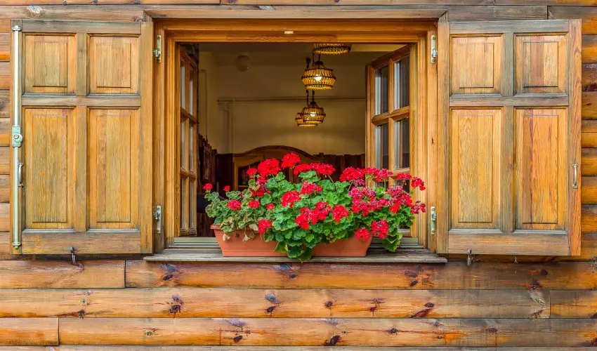 Lipicai Hotel Szilvsvrad