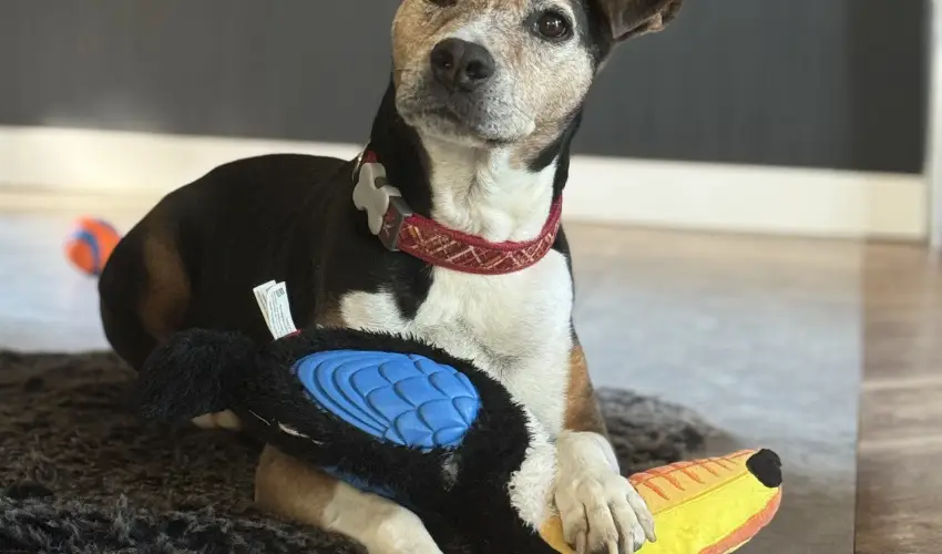 Margar�ta Garden Eger