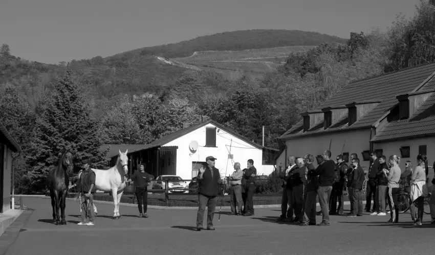 M�tyus Udvarh�z Kengyel Fogad� Eger