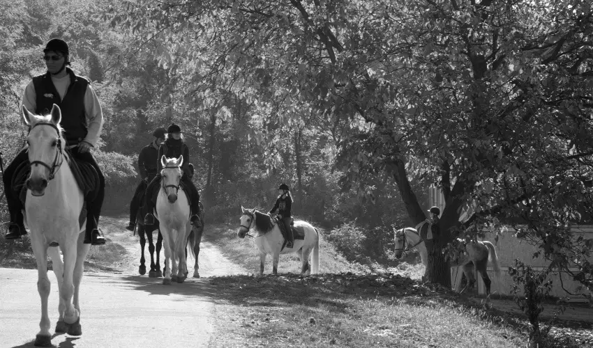 M�tyus Udvarh�z Kengyel Fogad� Eger