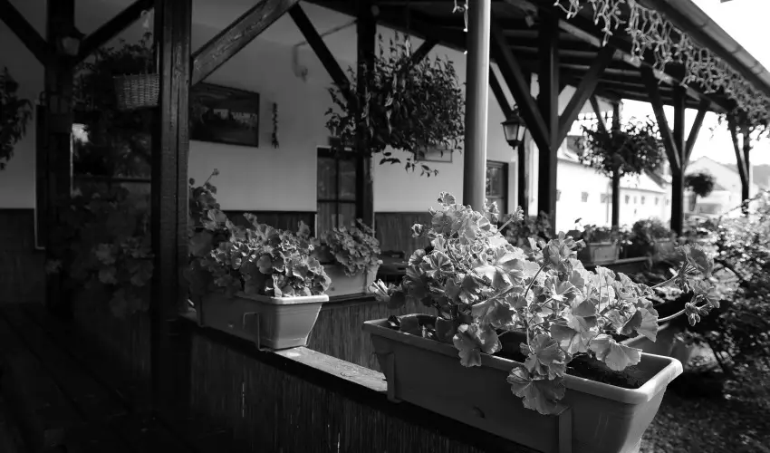 M�tyus Udvarh�z Kengyel Fogad� Eger