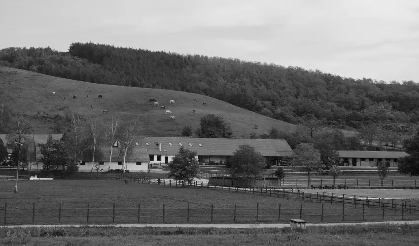 M�tyus Udvarh�z Kengyel Fogad� Eger