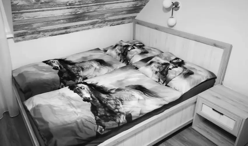 M�tyus Udvarh�z Kengyel Fogad� Eger