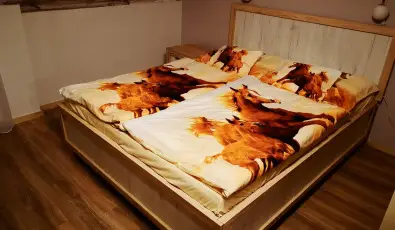 M�tyus Udvarh�z Kengyel Fogad� Eger