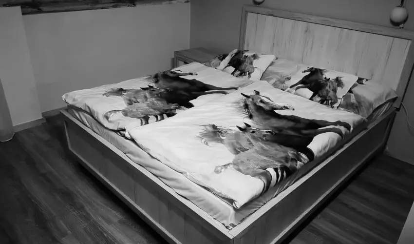 M�tyus Udvarh�z Kengyel Fogad� Eger