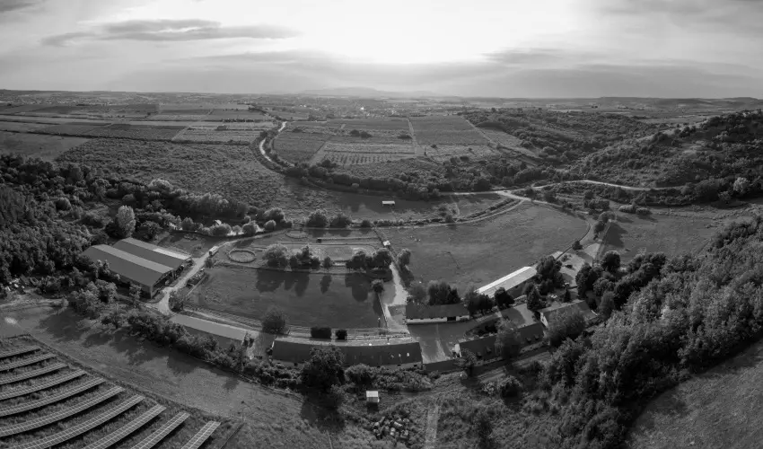 M�tyus Udvarh�z Kengyel Fogad� Eger