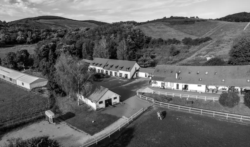 M�tyus Udvarh�z Kengyel Fogad� Eger