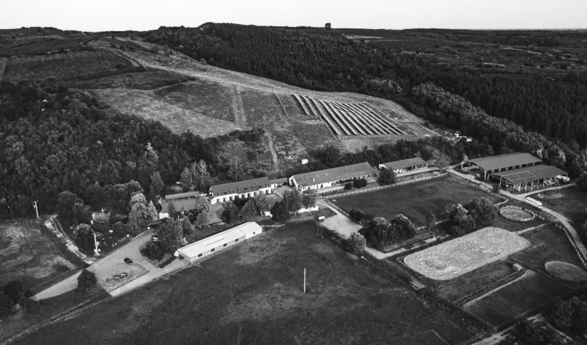 M�tyus Udvarh�z Kengyel Fogad� Eger