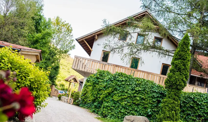 ko-Park Panzi Szarvask