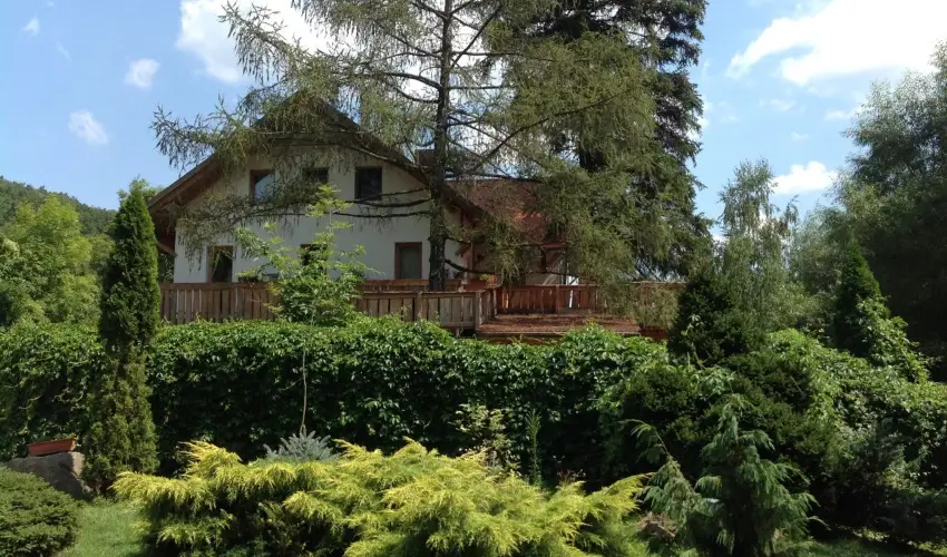 ko-Park Panzi Szarvask