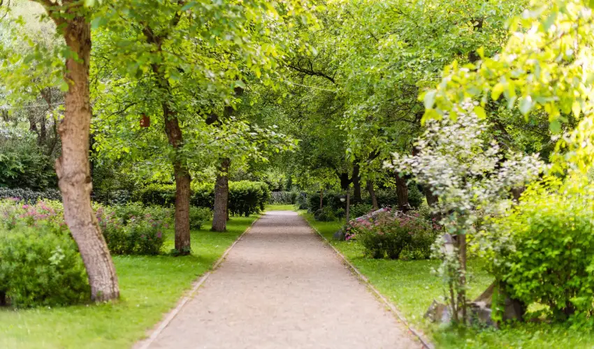 ko-Park Panzi Szarvask