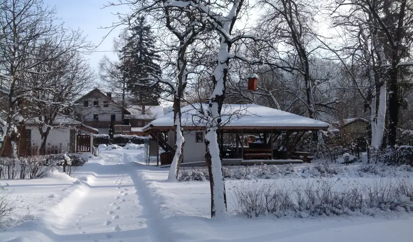 ko-Park Panzi Szarvask