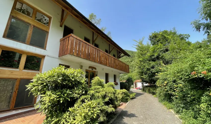 ko-Park Panzi Szarvask