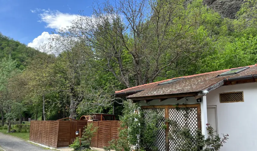 ko-Park Panzi Szarvask