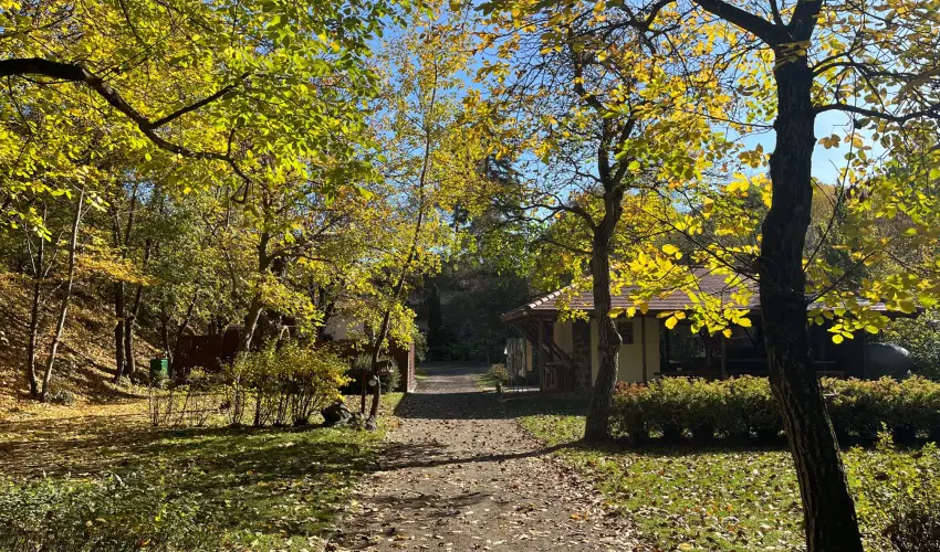 ko-Park Panzi Szarvask