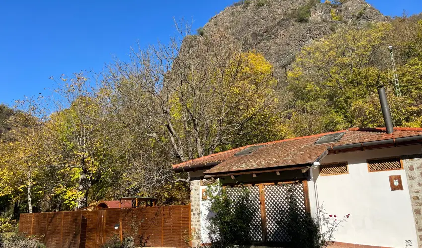 ko-Park Panzi Szarvask