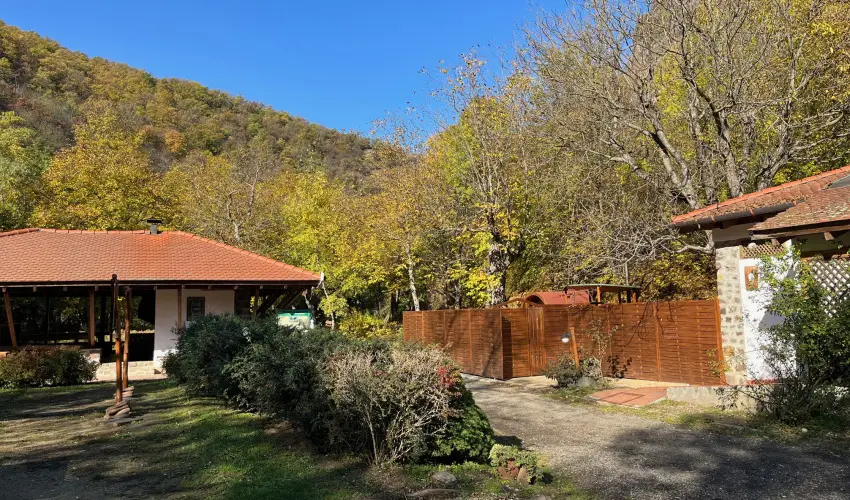 ko-Park Panzi Szarvask