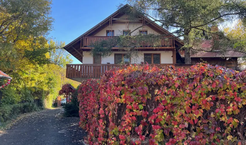 ko-Park Panzi Szarvask