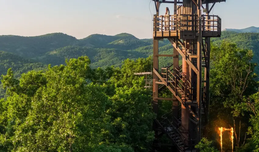 ko-Park Panzi Szarvask