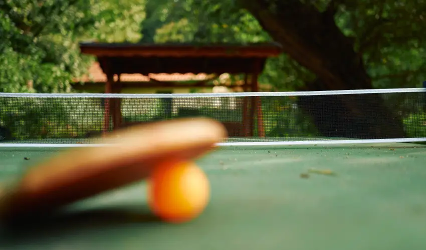 ko-Park Panzi Szarvask