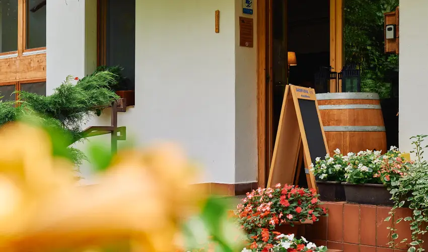 ko-Park Panzi Szarvask