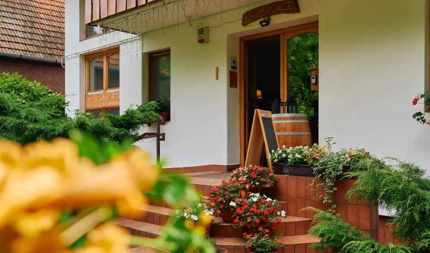 ko-Park Panzi Szarvask